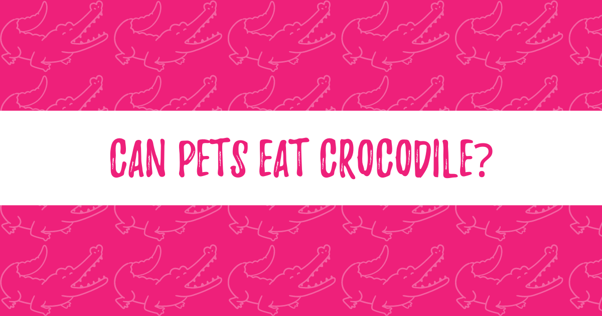 Can Pets eat Crocodile? Pet Food Industry Explained