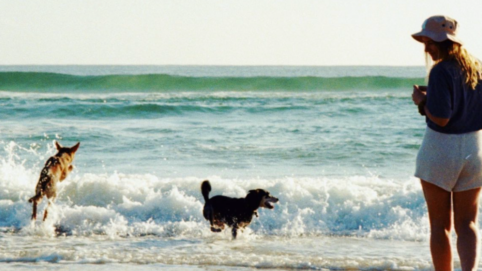 Clare from Hunde, Pet Food Coach