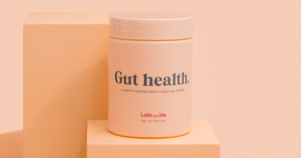 How to help my pets gut health