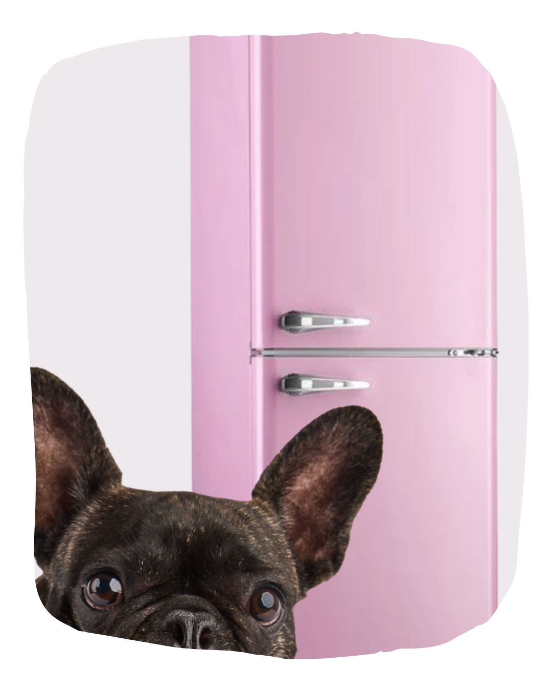 Where can I buy Low Fat Pet Treats?