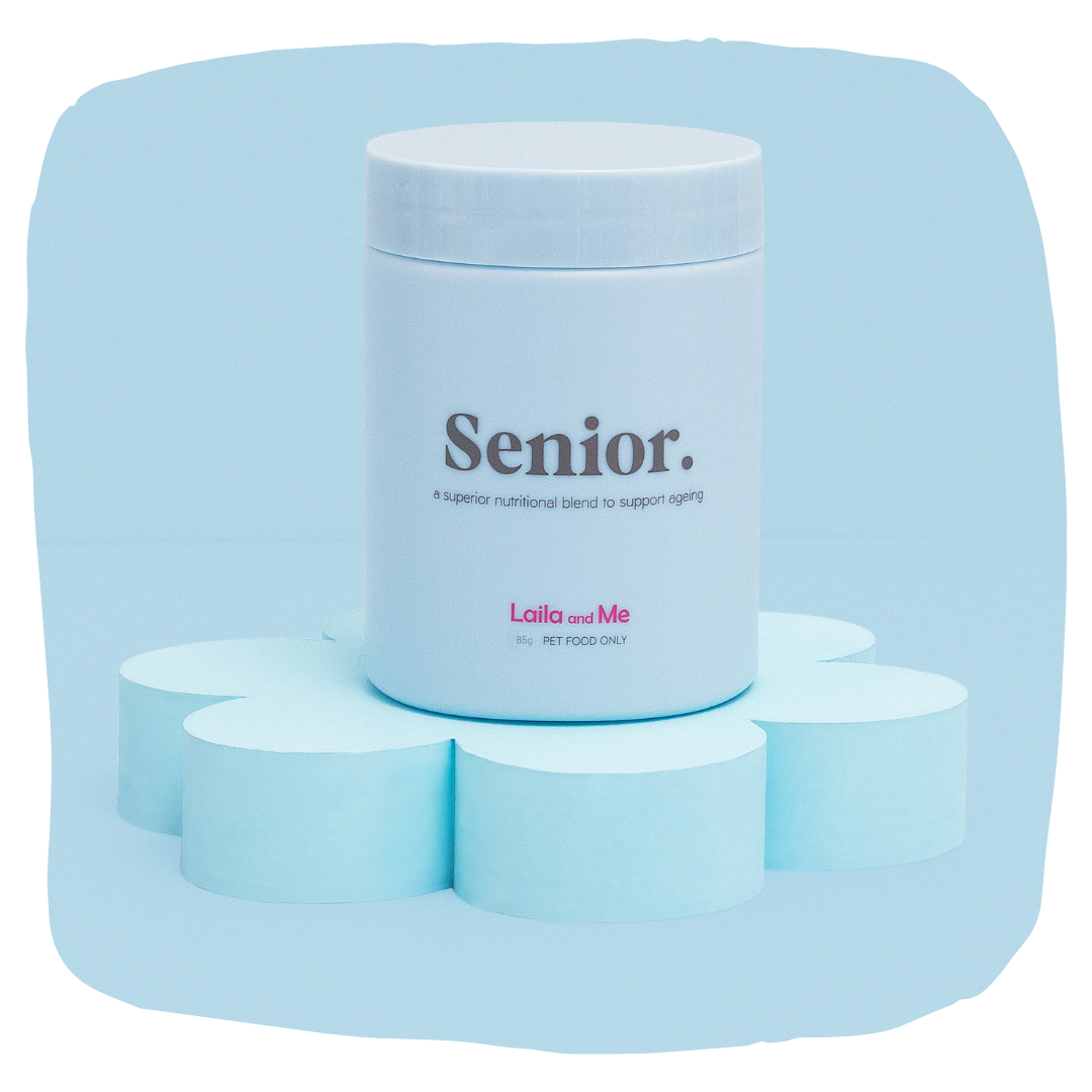 Senior Supplement