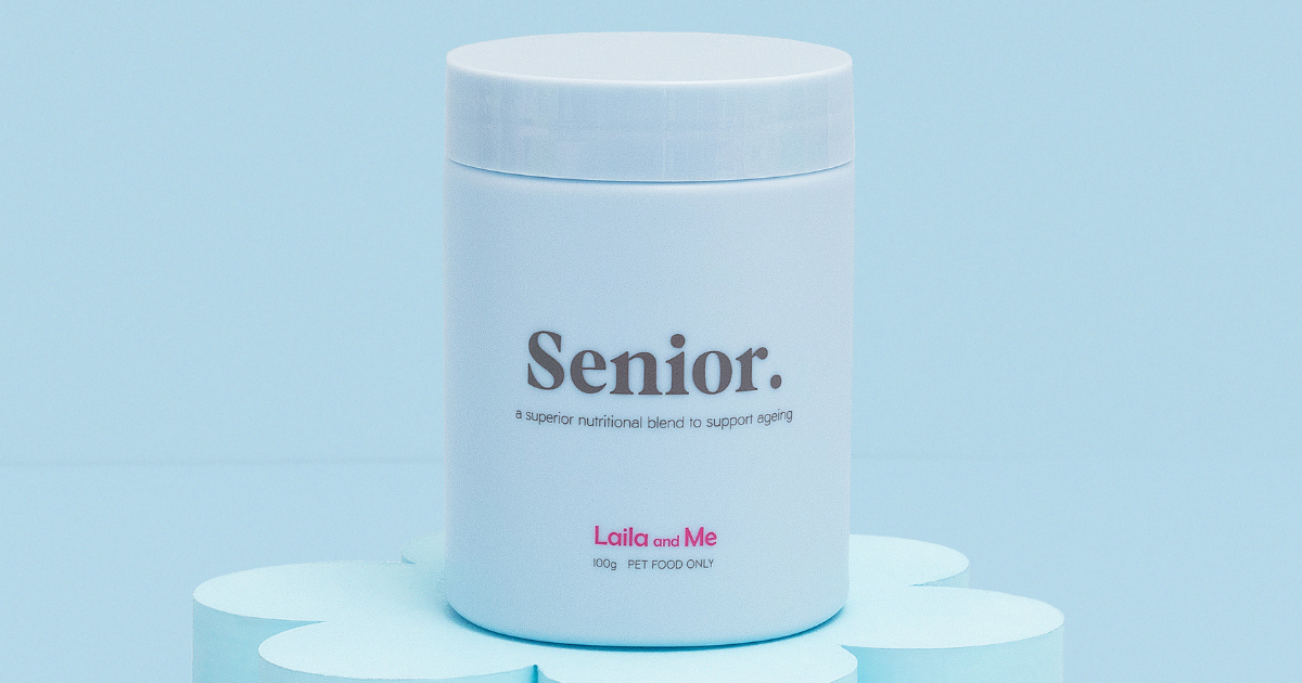 Supplements to help my senior dog