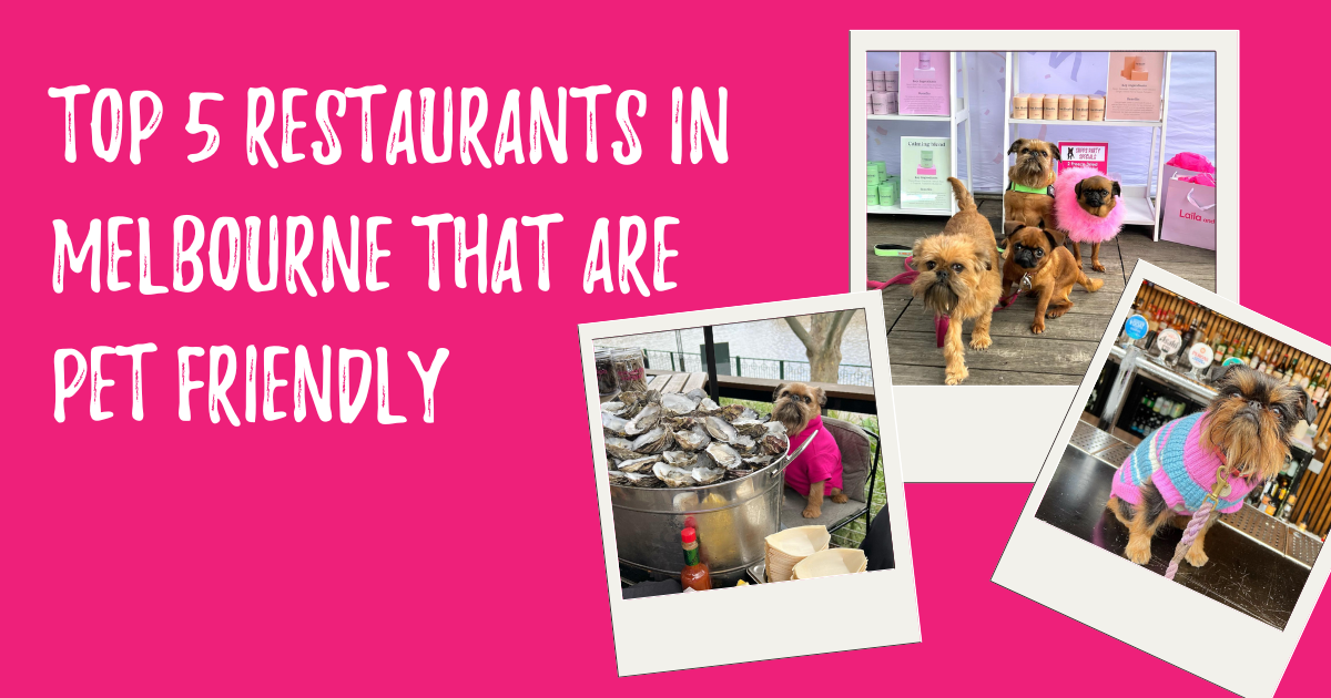 Top 5 Pet Friendly Restaurants - Laila and Me