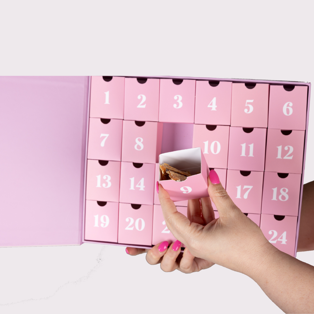 2025 Dog Advent Calendar