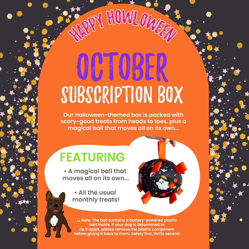 Ultimutt Dog Box | Monthly Subscription Box