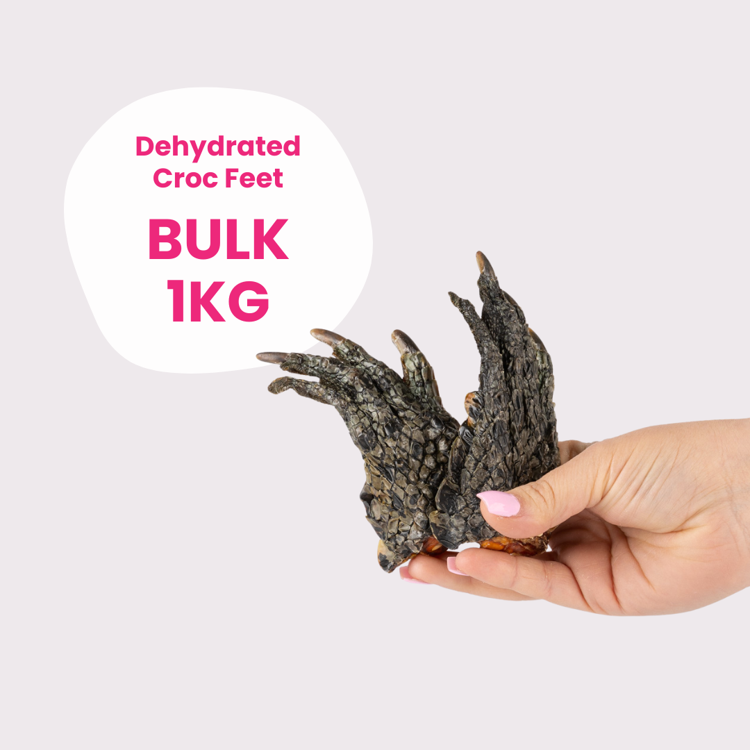 Crocodile Feet
