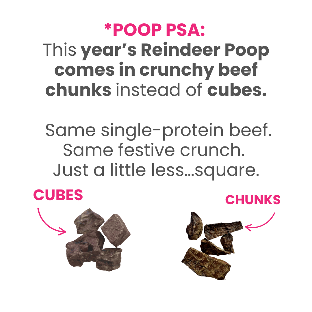 Reindeer Poop | Beef Crisp