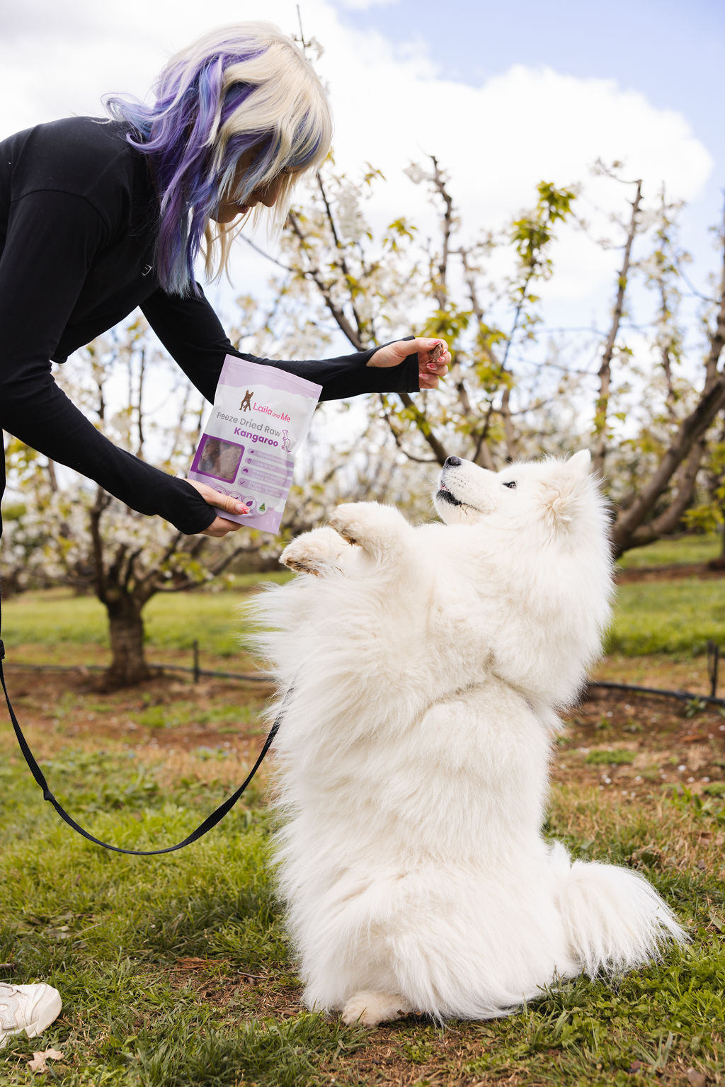 Freeze Dried Raw Kangaroo Treats