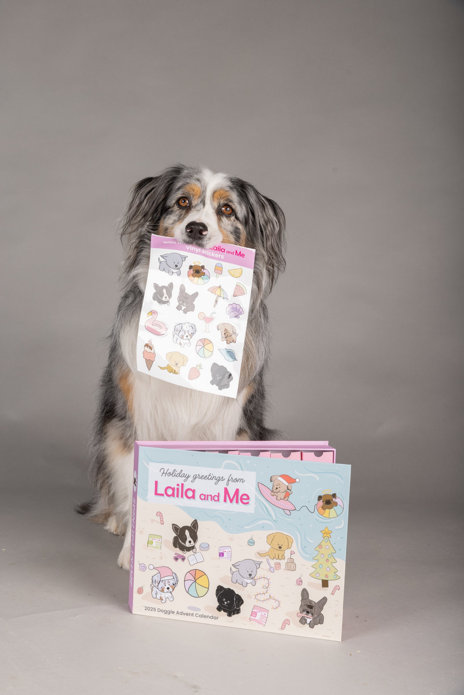 2025 Dog Advent Calendar