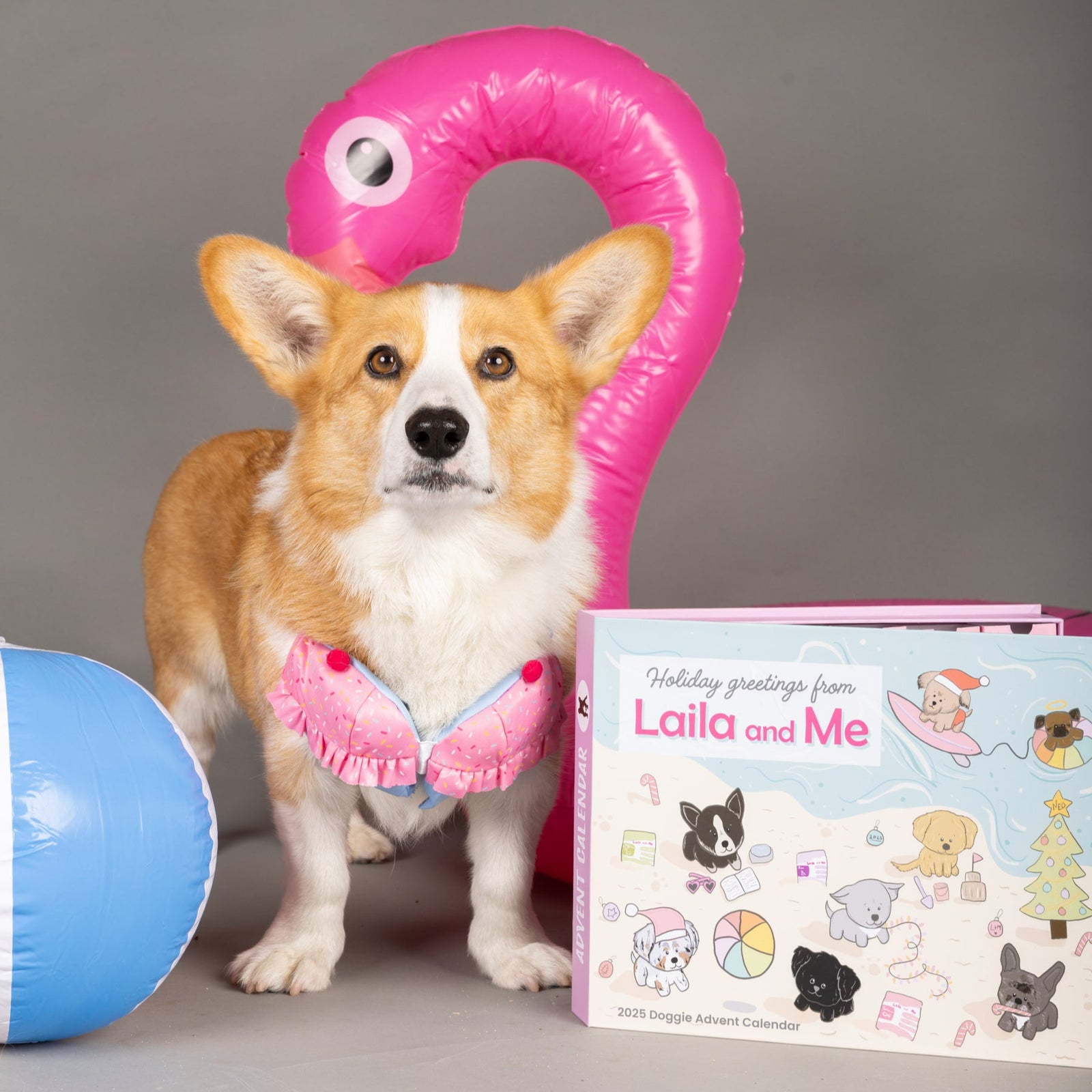 2025 Dog Advent Calendar