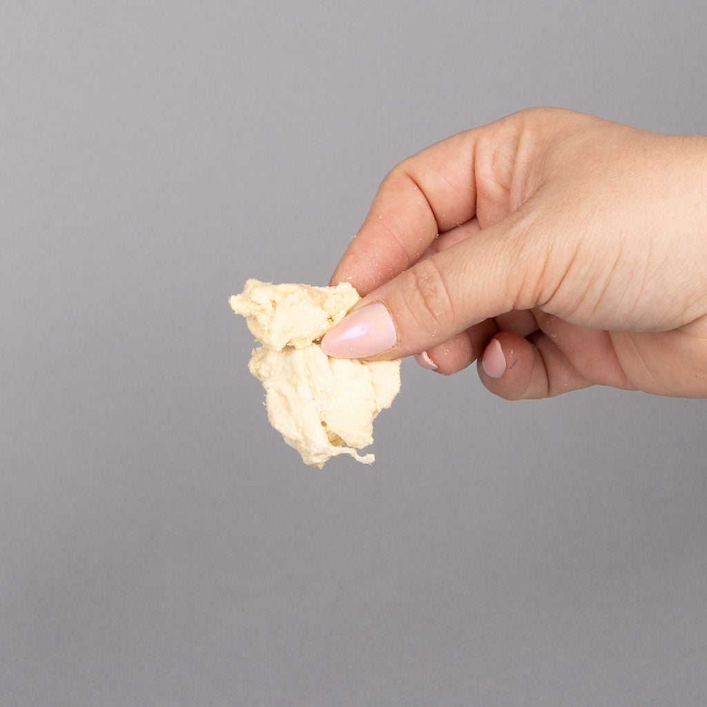 Freeze-Dried Crocodile