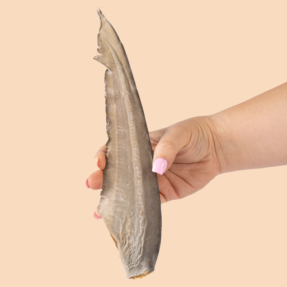 Gummy Shark Tail (2 Pack)