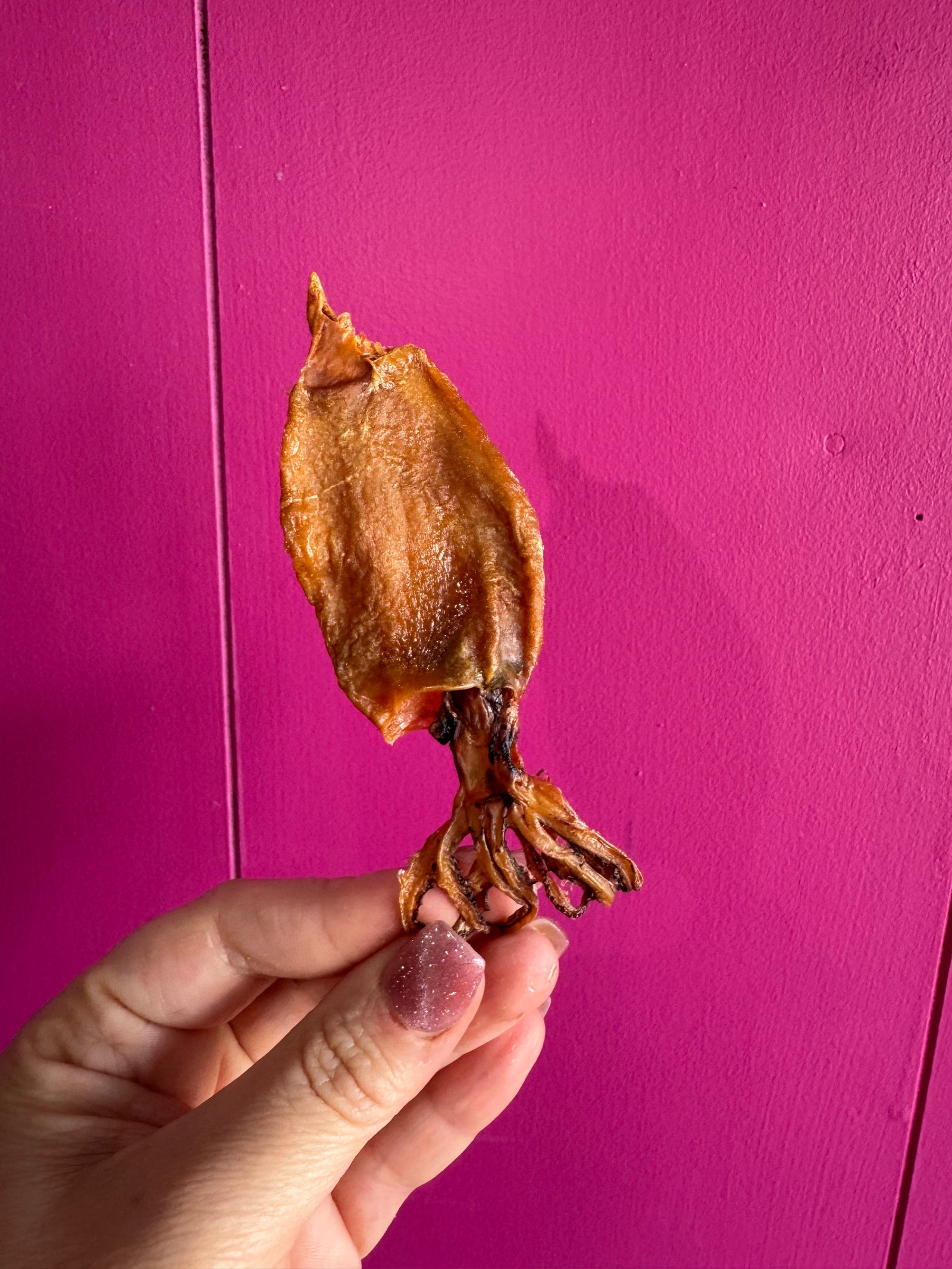 Limited Edition Arrow Squid