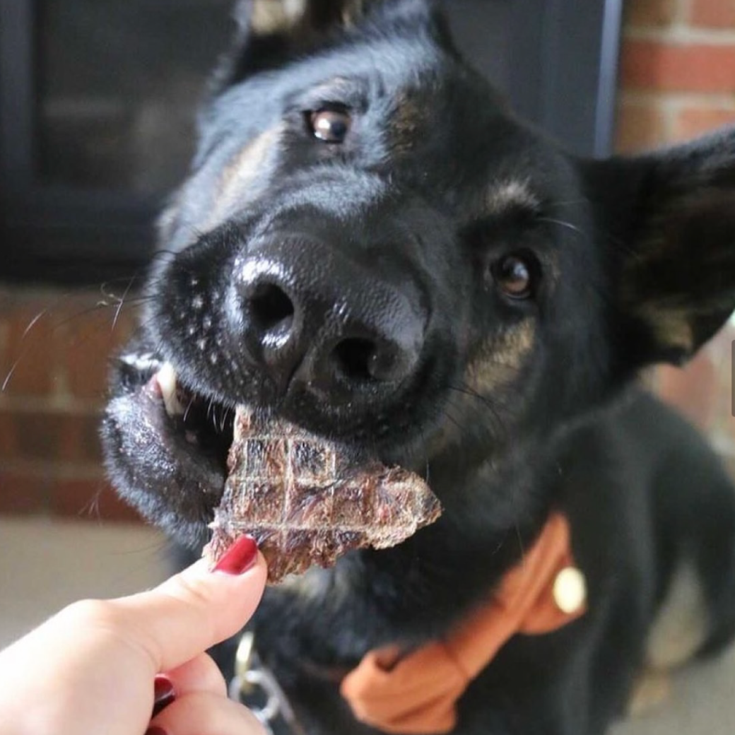 Hypoallergenic Kangaroo Dog Treats by Laila and Me. Healthy Affordable Hypoallergenic Kangaroo Dog Treats