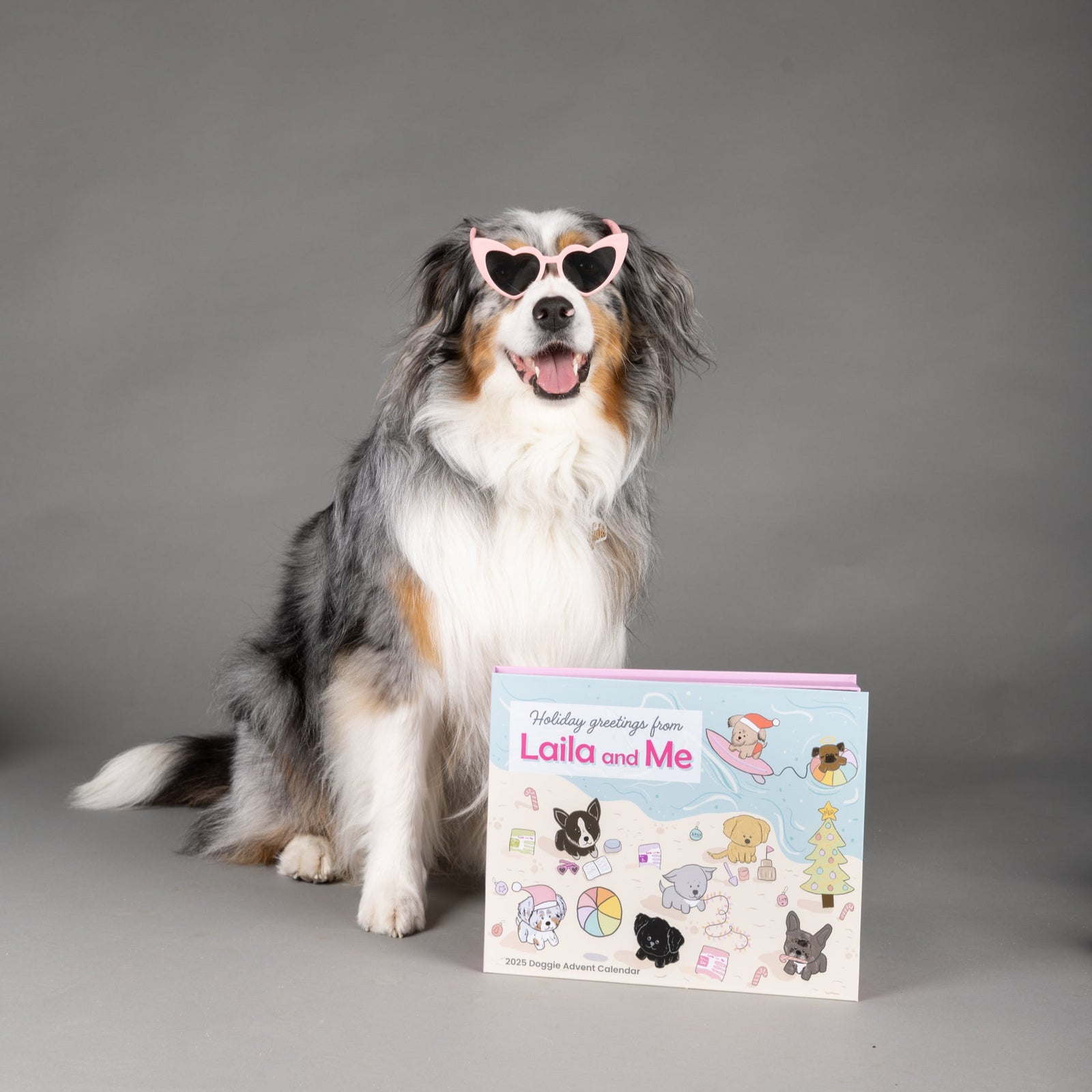 2025 Dog Advent Calendar