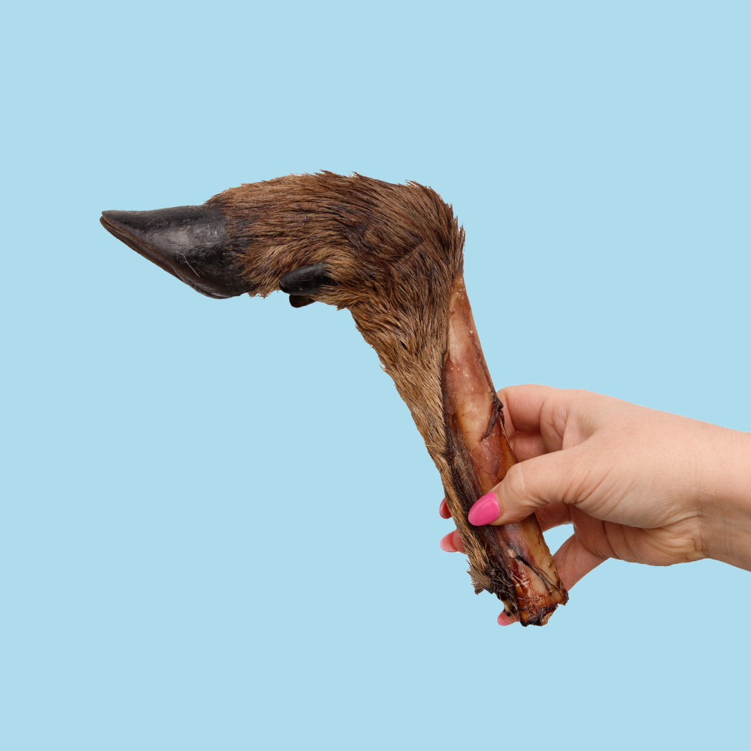 Venison Legs with Fur (2 Pack)