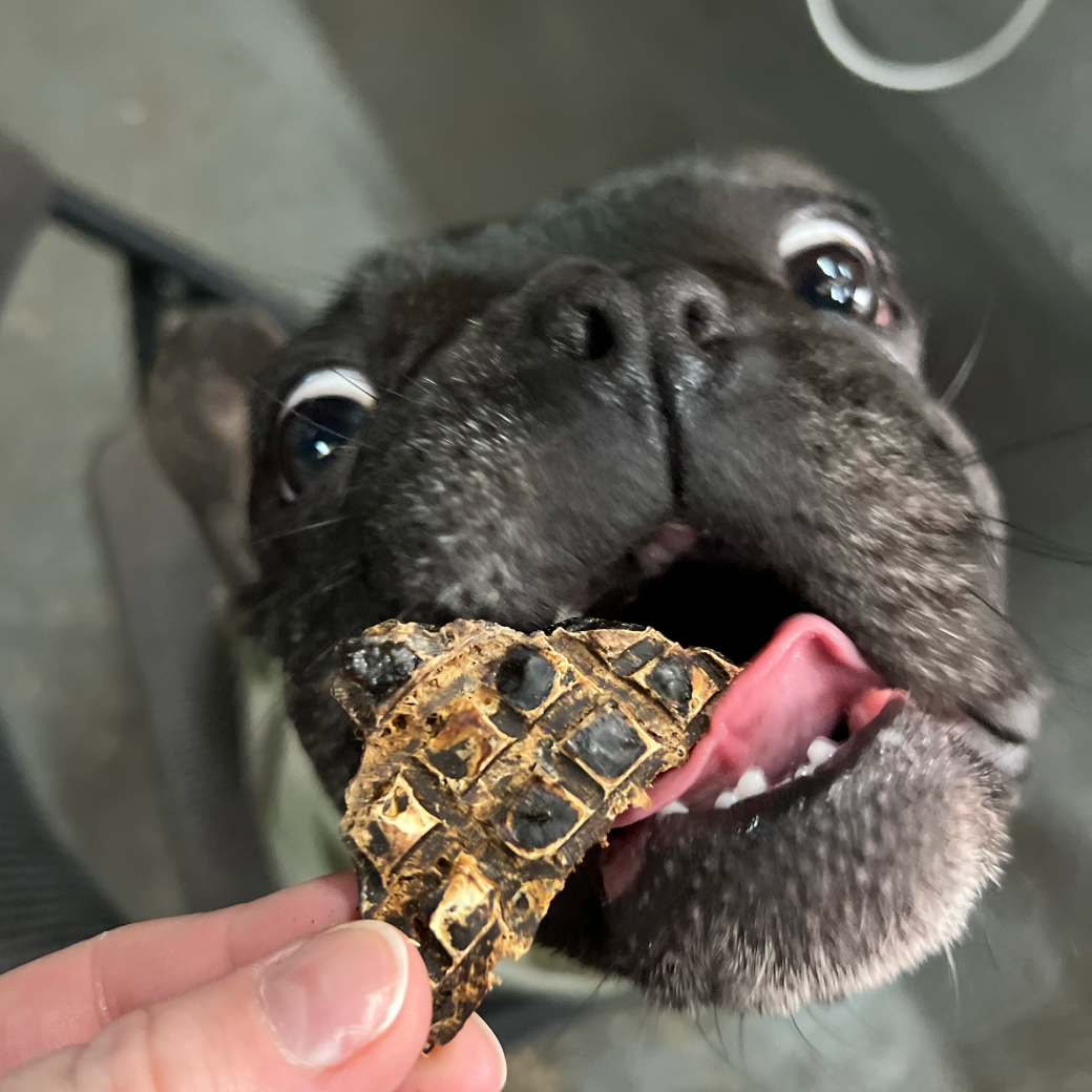 Laila and Me Lamb Liver Healthy Dog Treats Australian Made single Ingredient Dog Treats