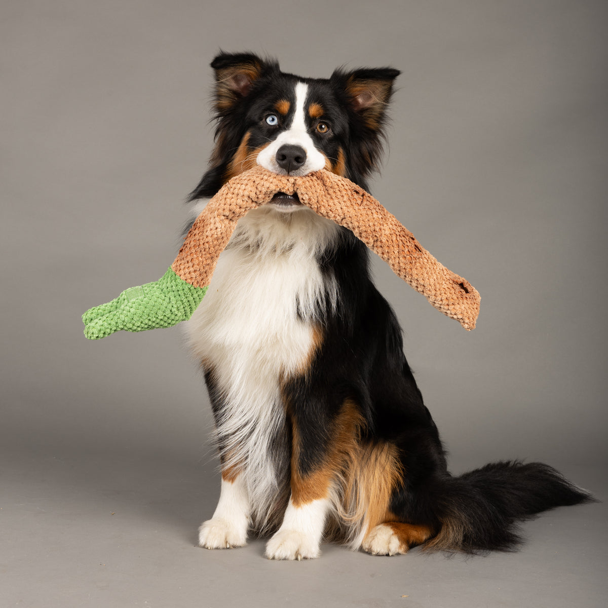 Snail Enrichment Toy