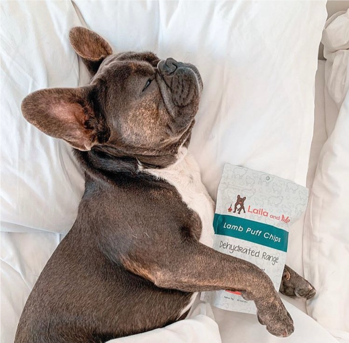 Lamb Puff Chips Dog Treat Good Training Lamb Treat for Dogs Laila and Me