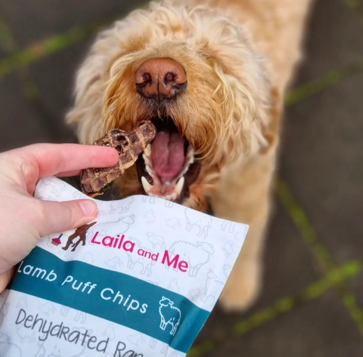 Lamb Puff Chips Dog Treat Good Training Lamb Treat for Dogs Laila and Me
