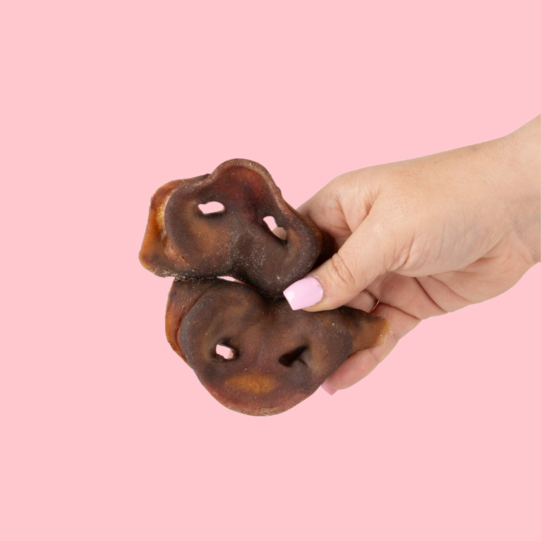 Longer Lasting Sample Mix (Large)