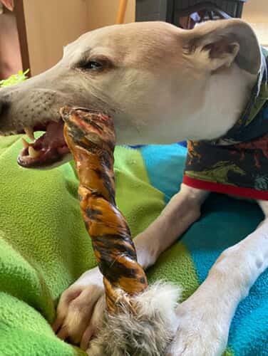 Laila and Me Natural Long Lasting Rabbit skin Chew Treat Long Lasting Affordable Healthy Dog Treat