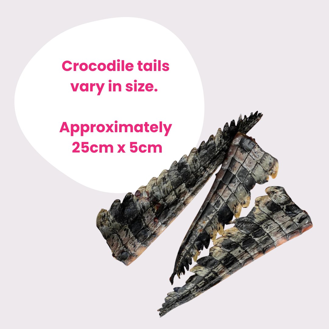 Crocodile Tails