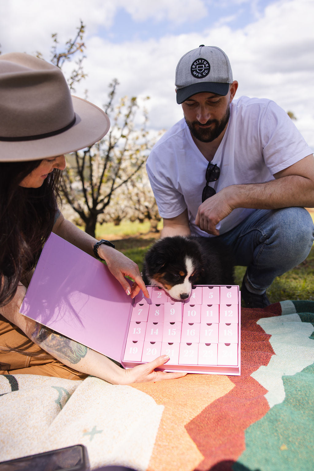 2025 Dog Advent Calendar