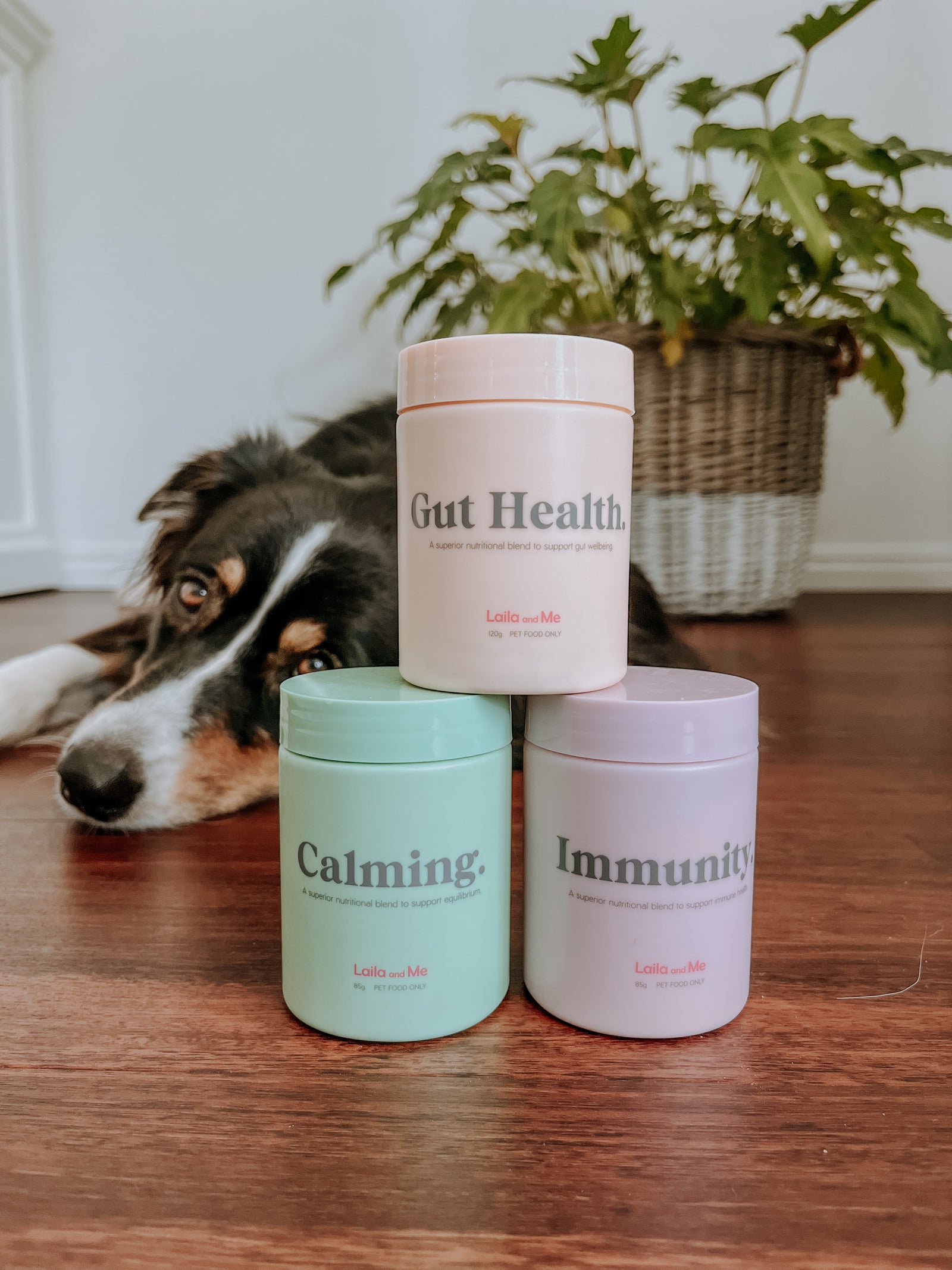 Supplement Bundle For Dogs Under 7