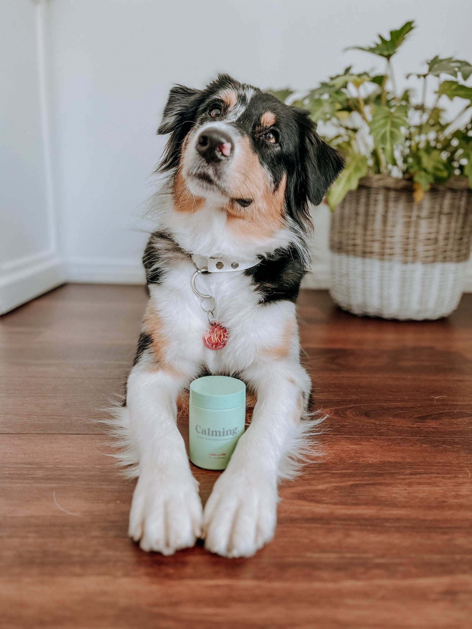 Calming Dog Supplement