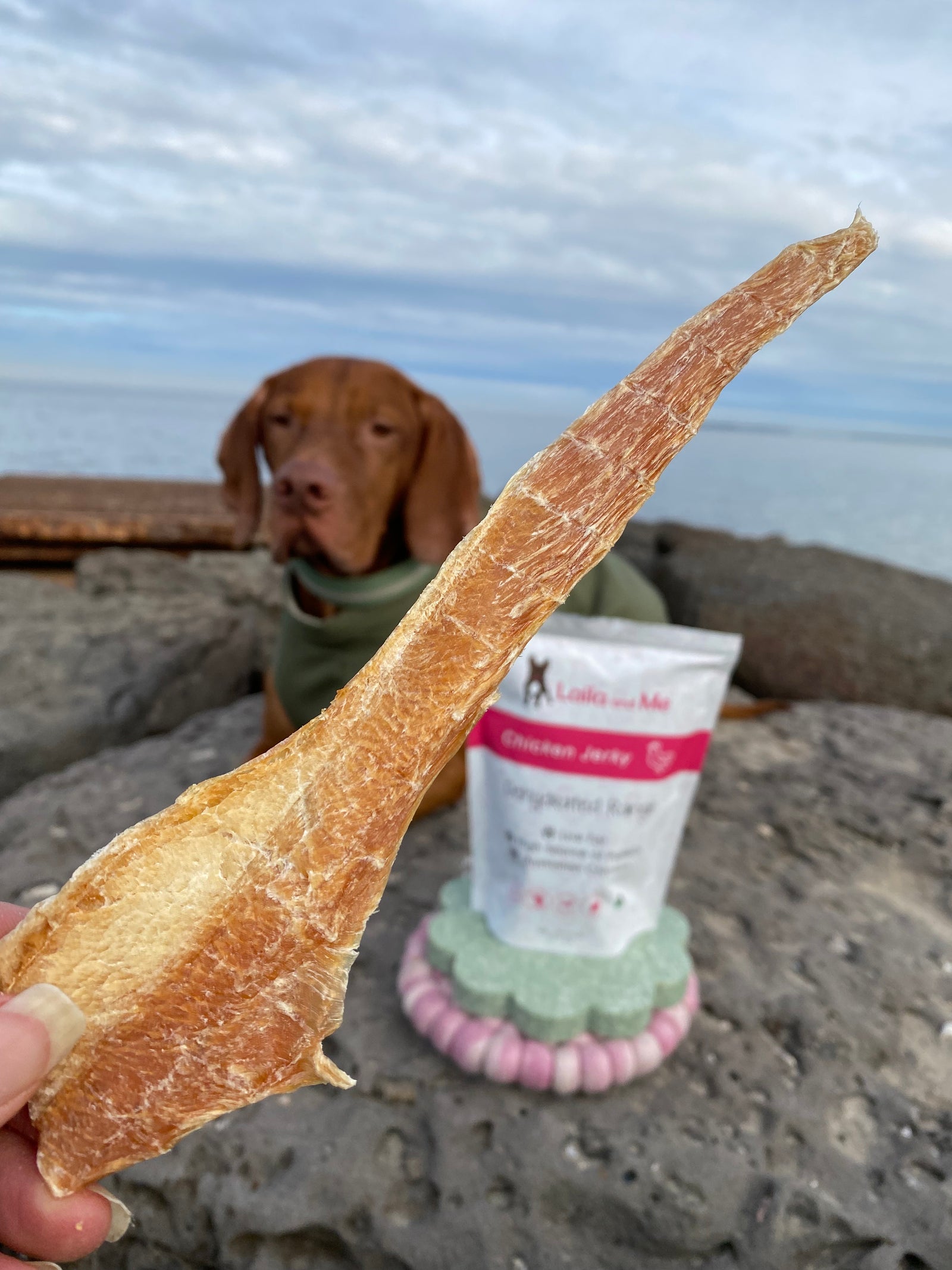 high quality made in Australia dog treats