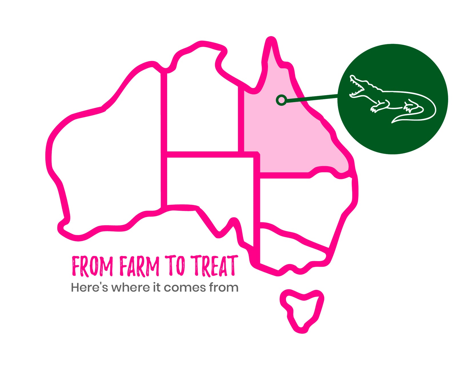 Freeze-Dried Crocodile