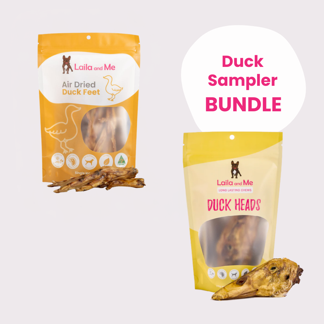 Duck Sampler Bundle