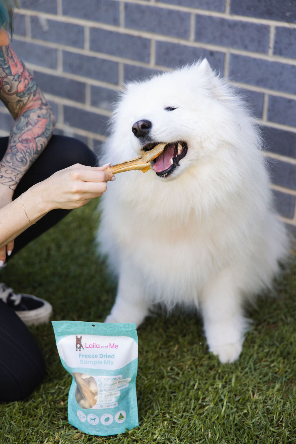 Freeze Dried Sample Mix (Large)