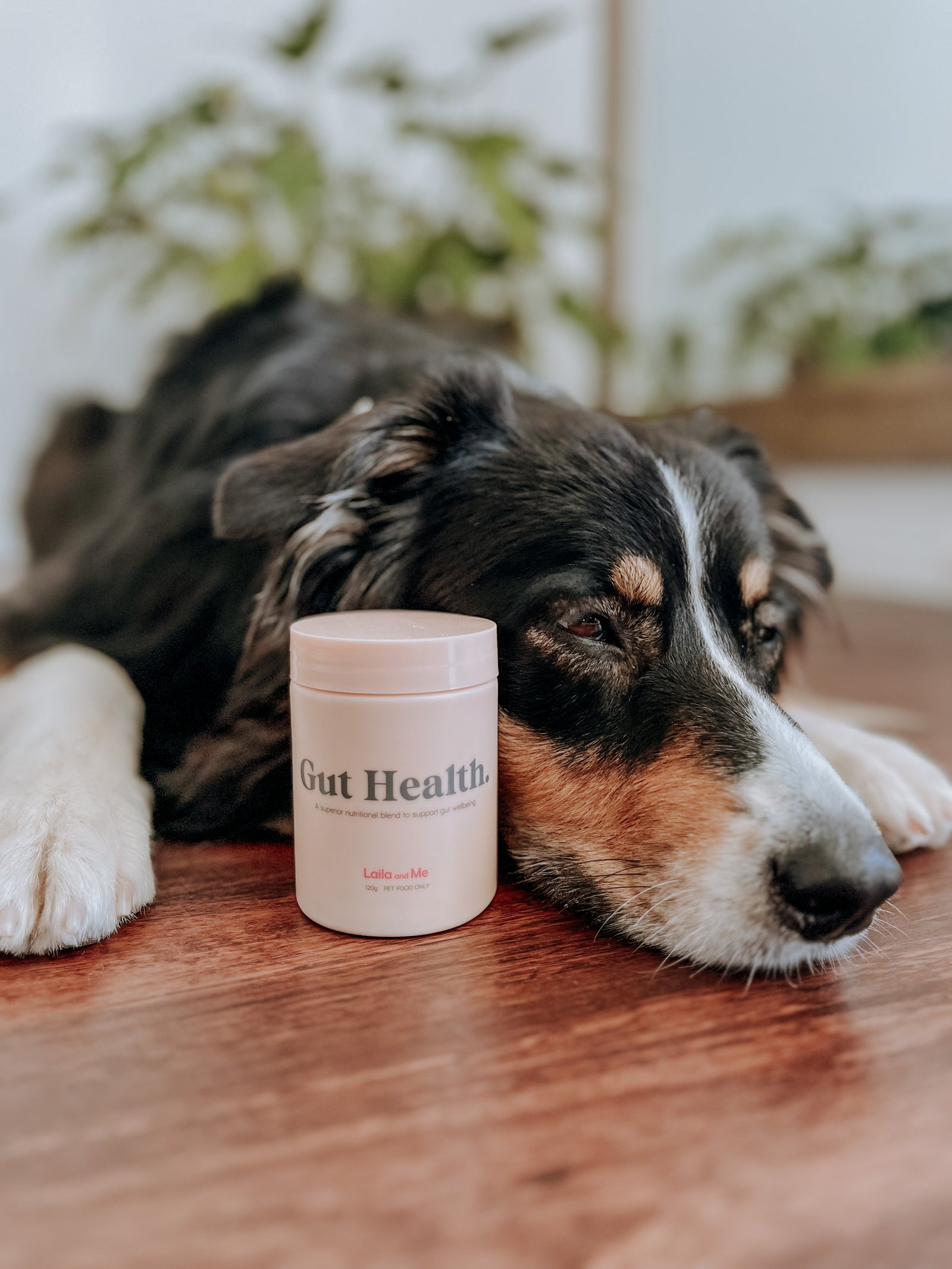 Supplement Bundle For Dogs Under 7