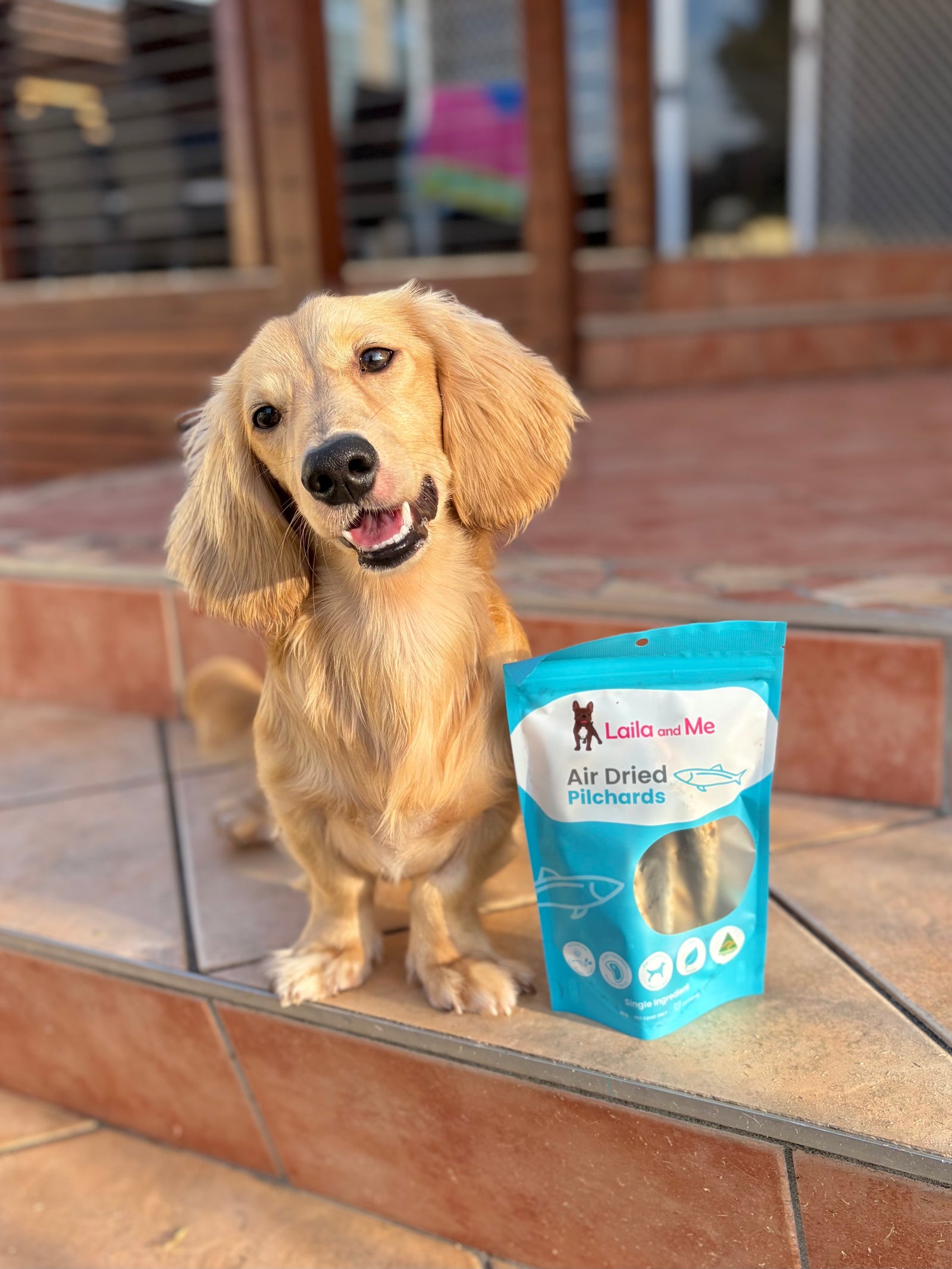 Australian Gummy Shark Cartilage