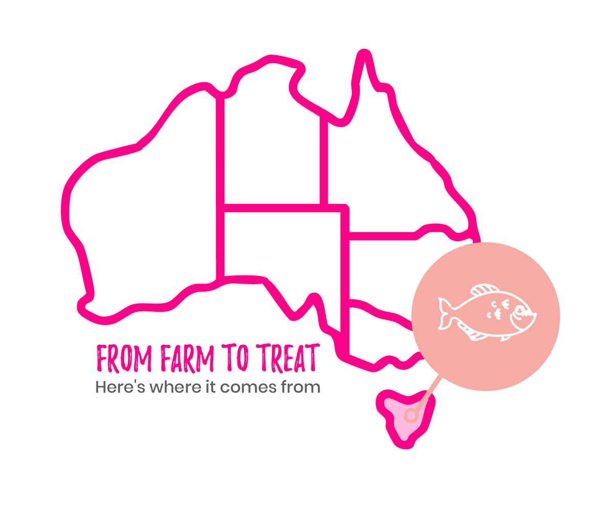 Tasmanian salmon. Cold-water clean.