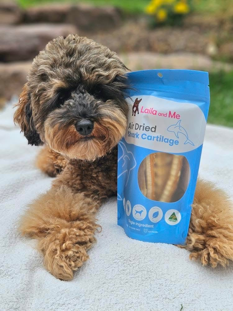 Australian Gummy Shark Cartilage