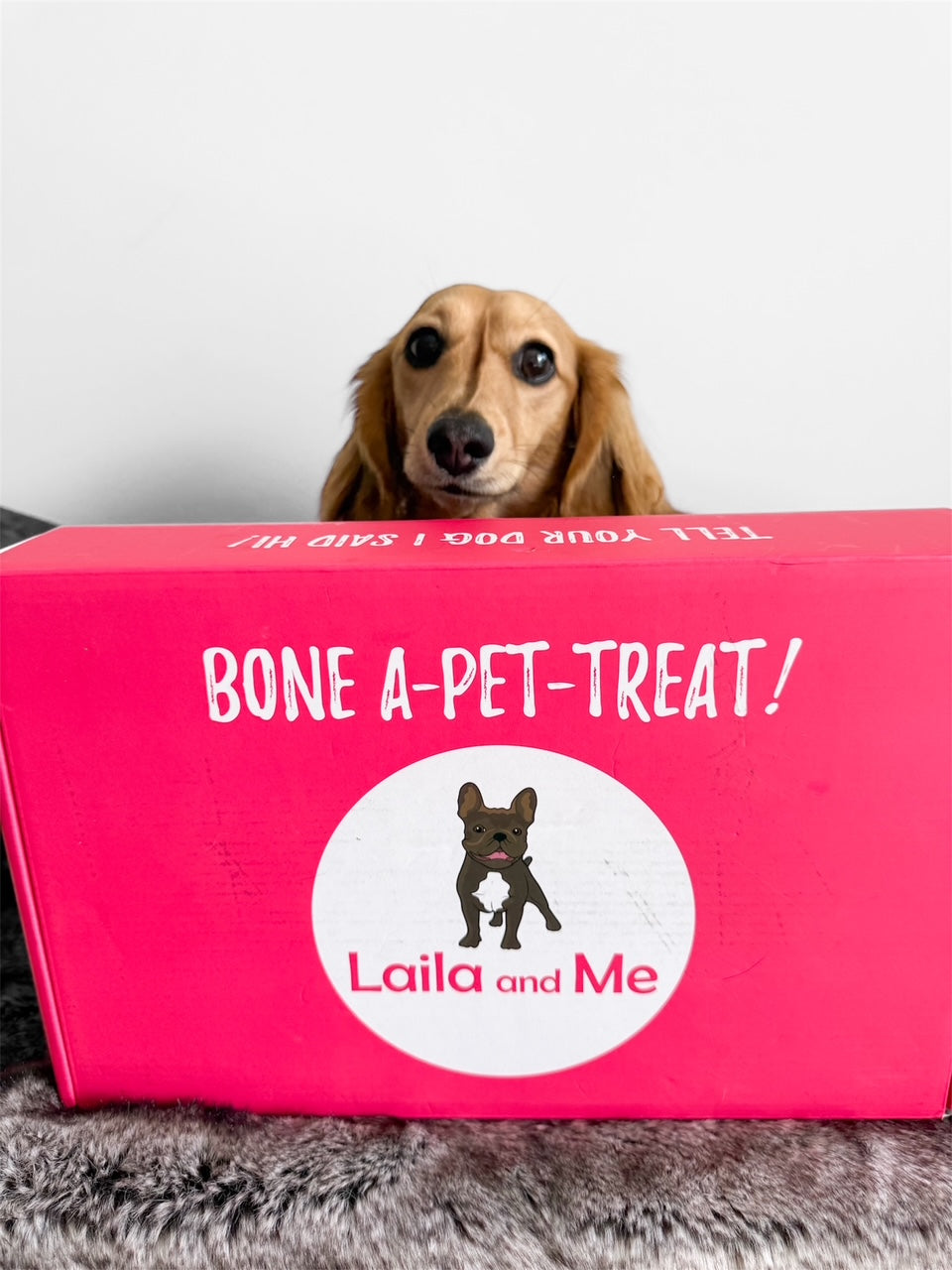 Ultimutt Dog Box | Monthly Subscription Box