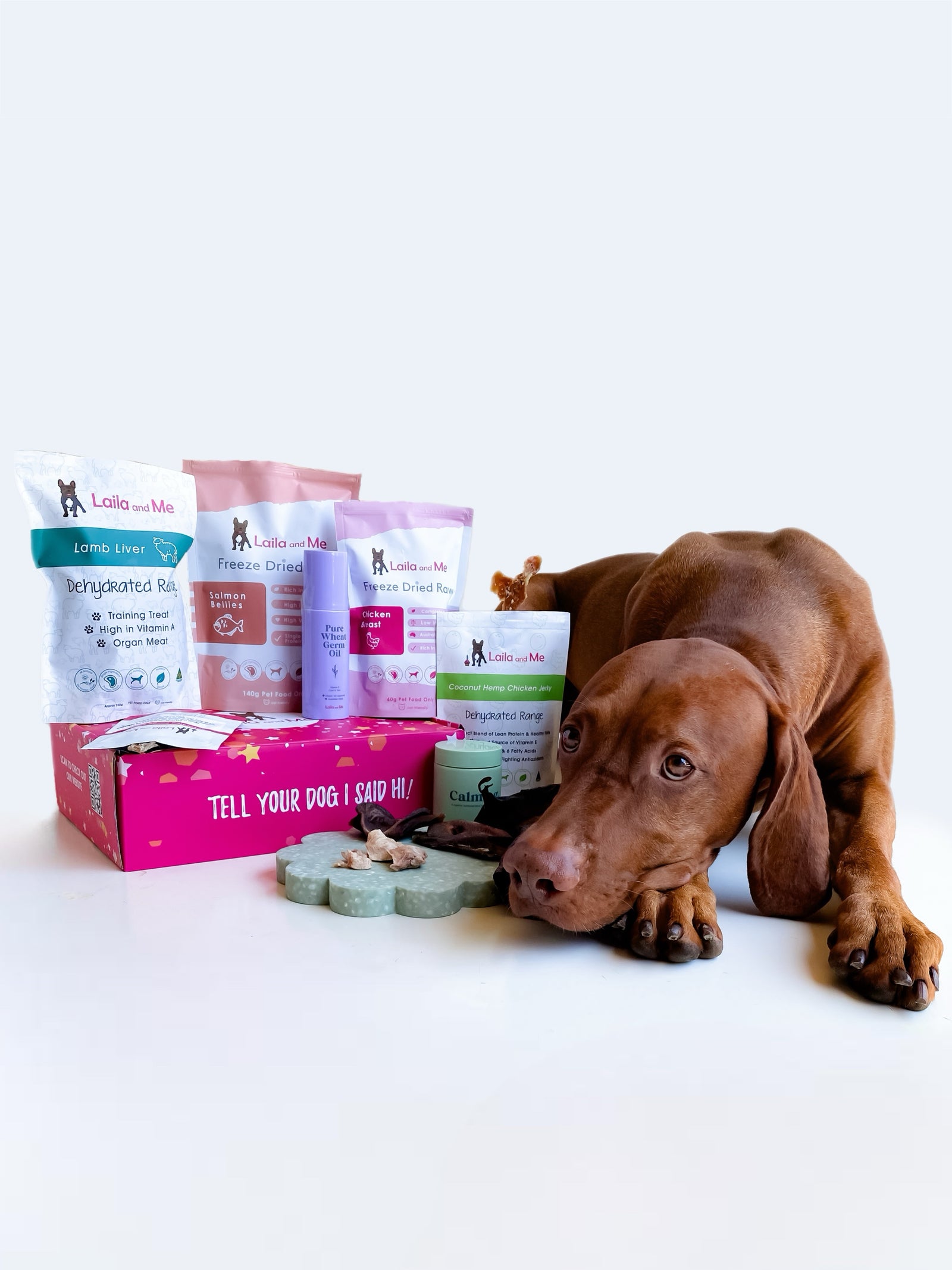 Spoil Your Dog Every Month with Laila and Me’s Premium Treat Box – Packed with Freeze-Dried Goodies & Surprises