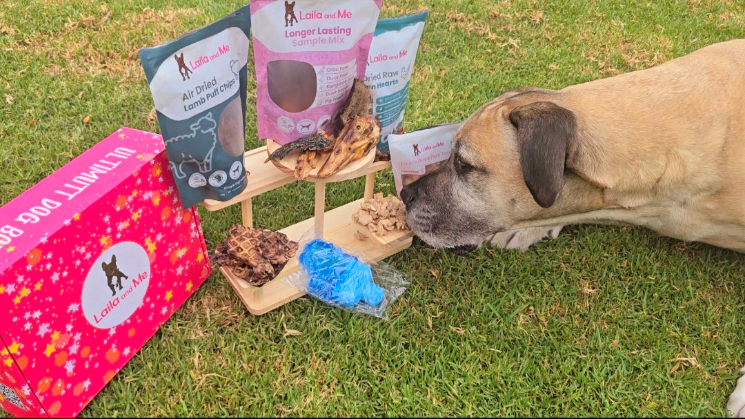 Ultimutt Dog Box | Monthly Subscription Box