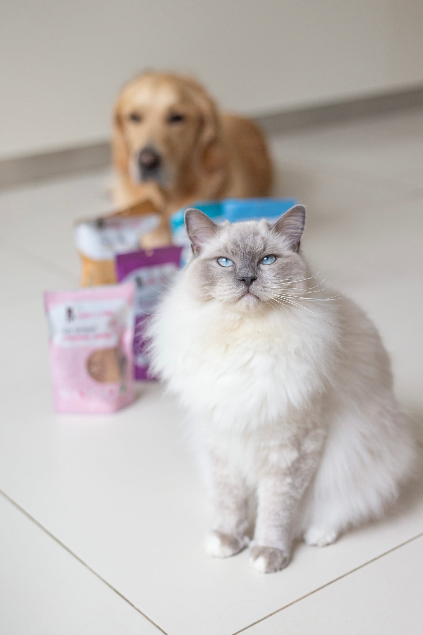 Ultimutt Dog Box | Monthly Subscription Box