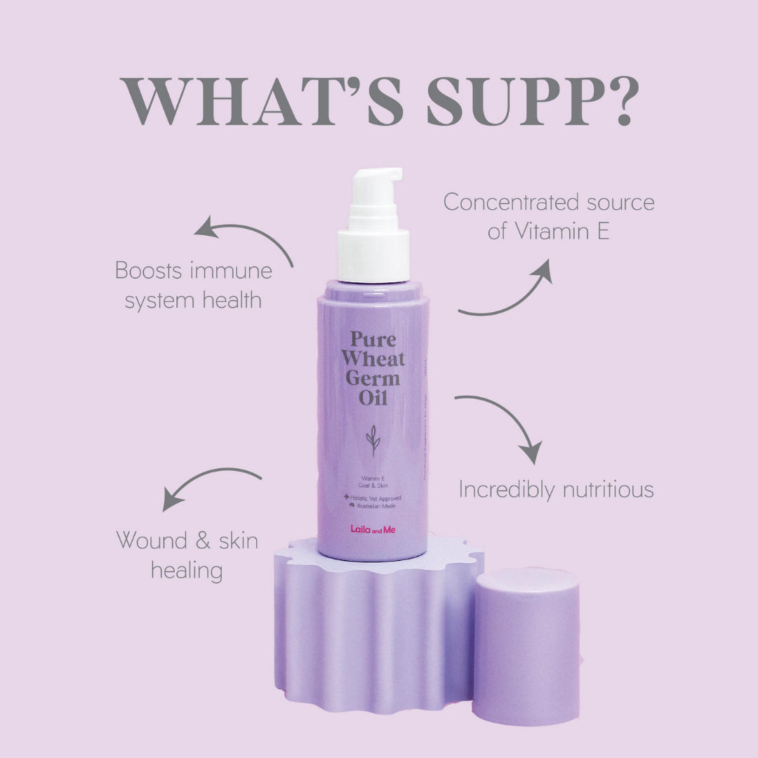 Pure Wheat Germ Oil for dogs by Laila and me , natural coat and skin supplement for dogs