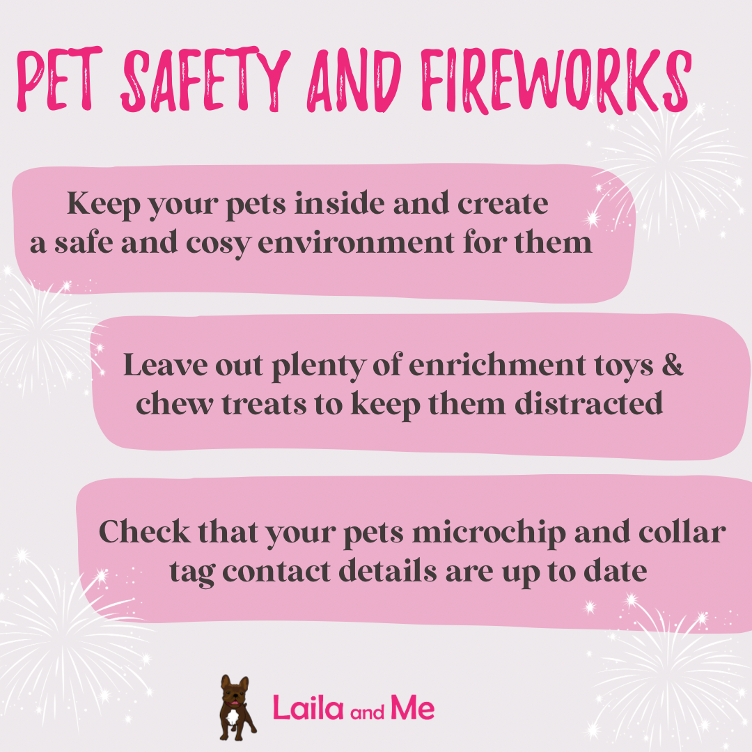 Pet Safety and Fireworks