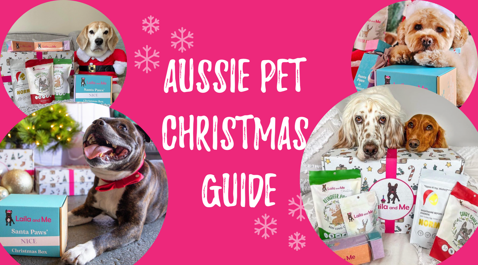 Best Christmas Gifts for Your Dog  Aussie Pet Businesses - Laila