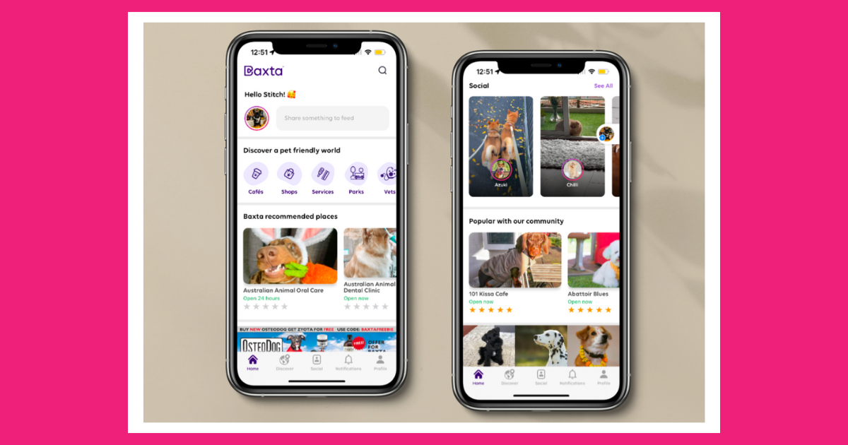 Create your pet’s ulti-mutt bucket list with Baxta