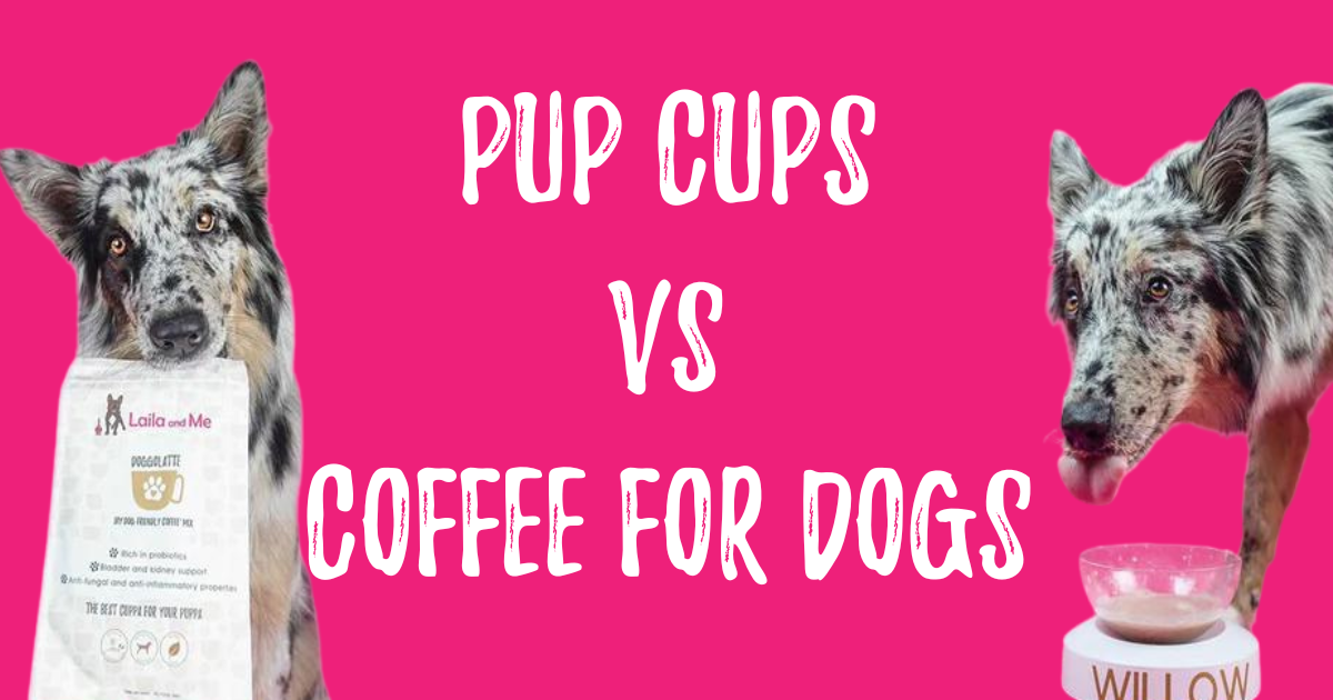 Pup Cups for Dogs - Laila and Me