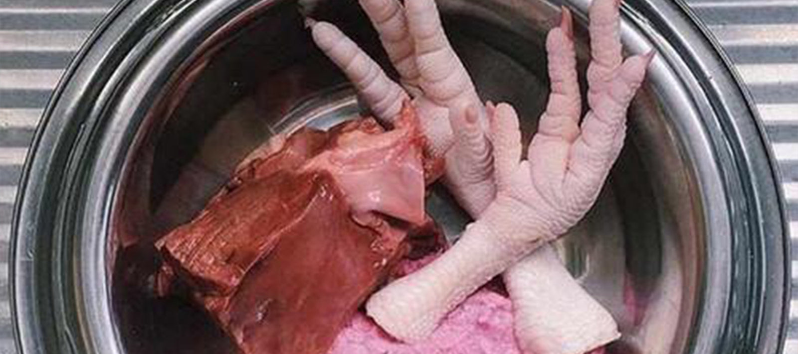 Feet for Thought | Guest Blog written by CLARE KEARNEY | PET NUTRITIONIST-Laila and Me