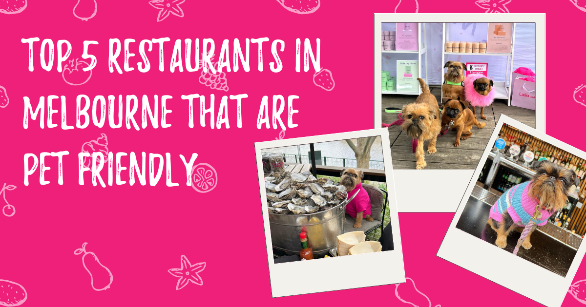 The Best Dog Friendly Holiday Destinations in Australia