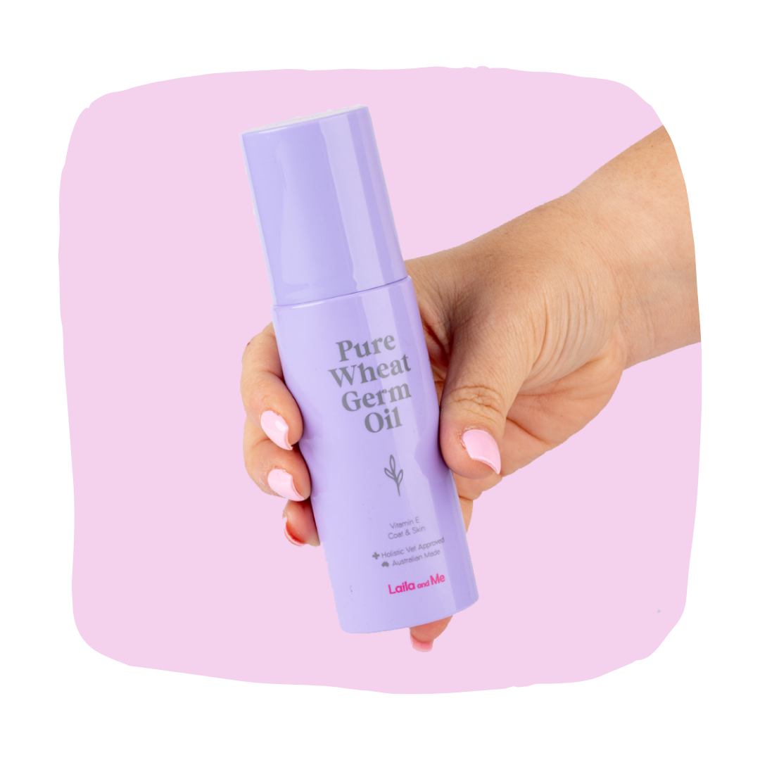 Flaky Ain’t Cute: Support Your Dog’s Skin & Coat with Natural Wheat Germ Oil